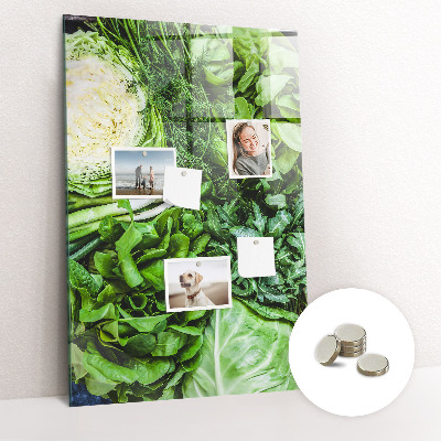 Quadro magnético Alface suculenta