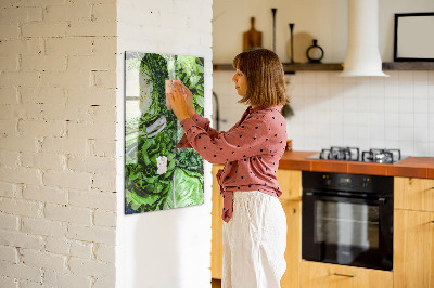 Quadro magnético Alface suculenta