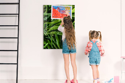 Lousa de vidro magnética Pimentões verdes