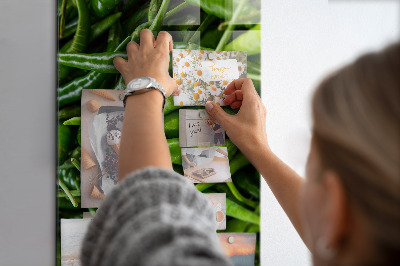 Lousa de vidro magnética Pimentões verdes