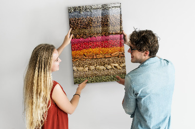 Quadro magnético Fileiras de especiarias