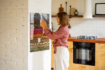 Quadro magnético Fileiras de especiarias