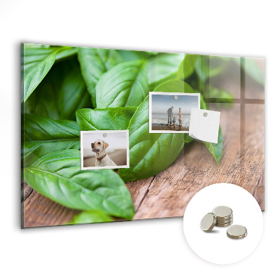 Painel magnético Folhas de manjericão