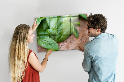 Painel magnético Folhas de manjericão