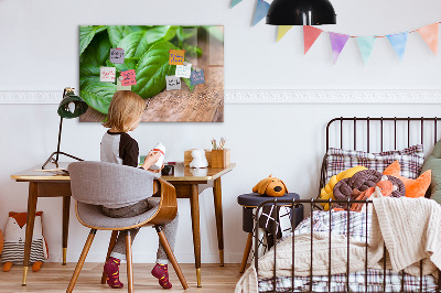 Painel magnético Folhas de manjericão