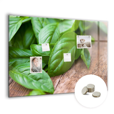 Painel magnético Folhas de manjericão