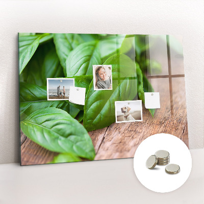 Painel magnético Folhas de manjericão