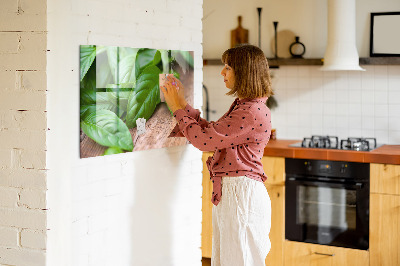 Painel magnético Folhas de manjericão