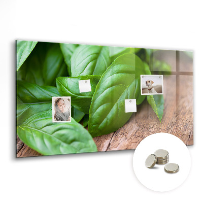 Painel magnético Folhas de manjericão