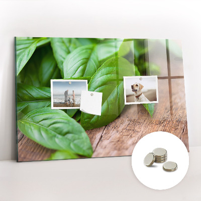 Painel magnético Folhas de manjericão