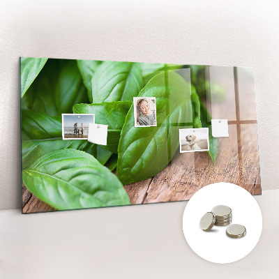 Painel magnético Folhas de manjericão