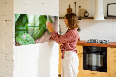 Painel magnético Folhas de manjericão