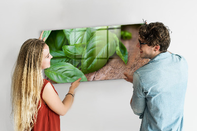Painel magnético Folhas de manjericão