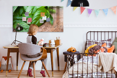 Painel magnético Folhas de manjericão