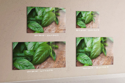 Painel magnético Folhas de manjericão