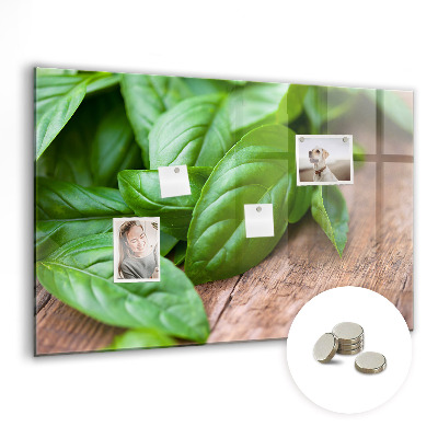Painel magnético Folhas de manjericão