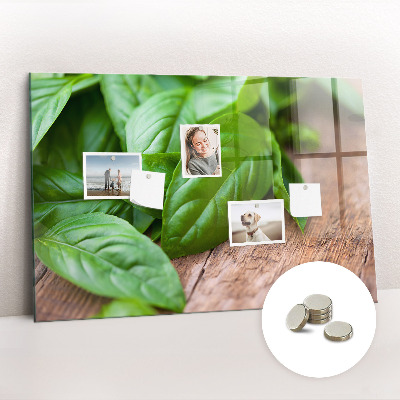 Painel magnético Folhas de manjericão