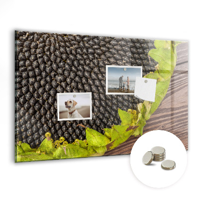 Painel magnético Girassol