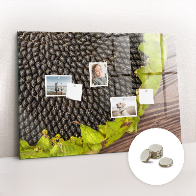 Painel magnético Girassol