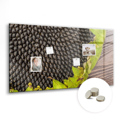 Painel magnético Girassol