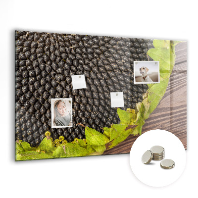 Painel magnético Girassol