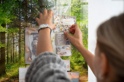 Quadro magnético decorativo Nascer do sol na floresta