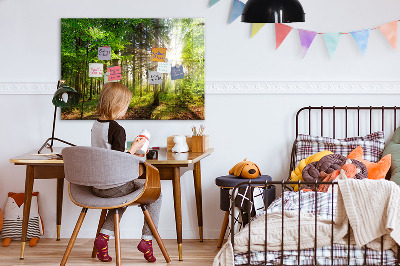 Quadro magnético decorativo Nascer do sol na floresta