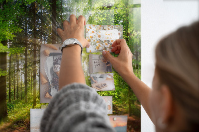 Quadro magnético decorativo Nascer do sol na floresta