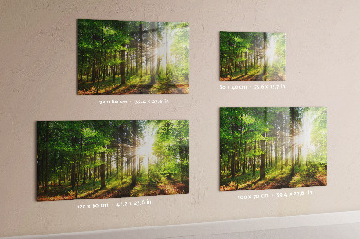 Quadro magnético decorativo Nascer do sol na floresta