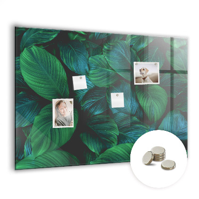 Painel magnético Folhas da natureza