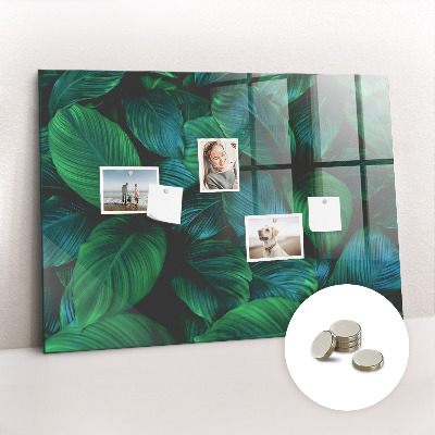 Painel magnético Folhas da natureza