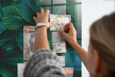 Painel magnético Folhas da natureza