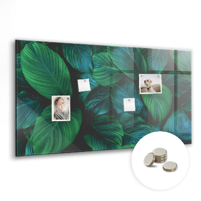 Painel magnético Folhas da natureza