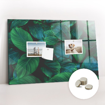 Painel magnético Folhas da natureza