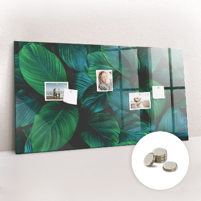 Painel magnético Folhas da natureza