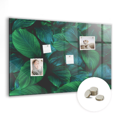 Painel magnético Folhas da natureza