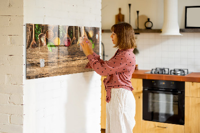 Painel magnético colheres de especiarias