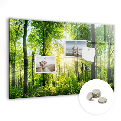 Quadro magnético decorativo Árvores da floresta natural