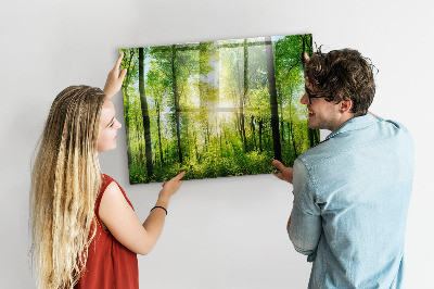 Quadro magnético decorativo Árvores da floresta natural