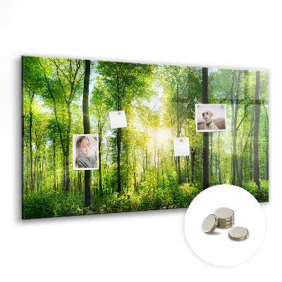 Quadro magnético decorativo Árvores da floresta natural