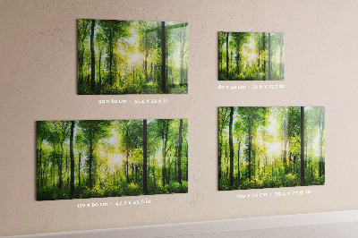 Quadro magnético decorativo Árvores da floresta natural