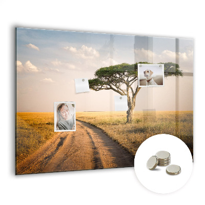 Quadro magnético de parede paisagem africana