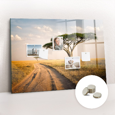 Quadro magnético de parede paisagem africana
