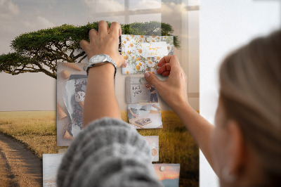 Quadro magnético de parede paisagem africana