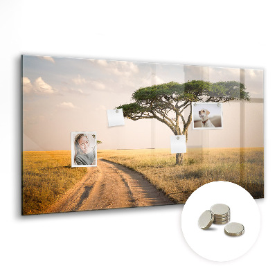 Quadro magnético de parede paisagem africana