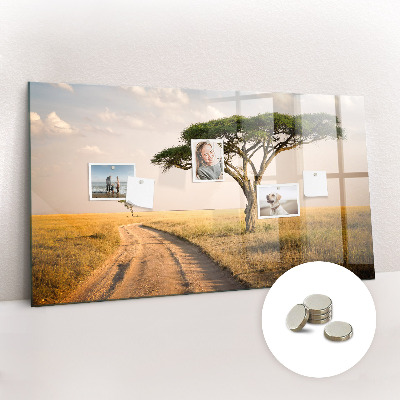 Quadro magnético de parede paisagem africana