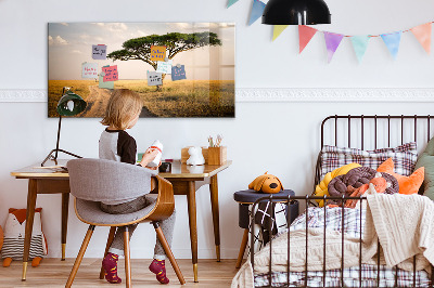 Quadro magnético de parede paisagem africana