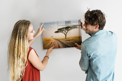 Quadro magnético de parede paisagem africana