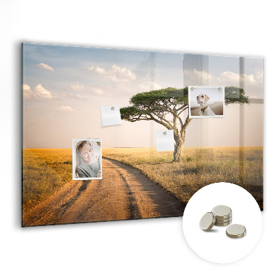 Quadro magnético de parede paisagem africana