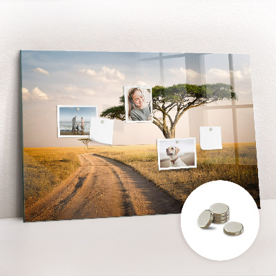 Quadro magnético de parede paisagem africana